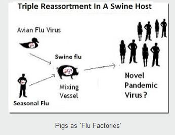 http://www.whatdoesitmean.com/flu27.JPG