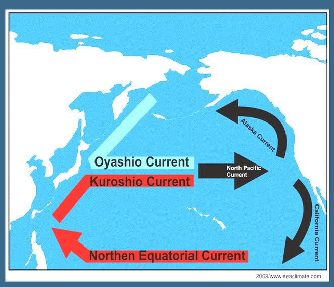 3 течения тихого океана. Течения Тихого океана Куросио. Пролив Куросио. Теплое течение Куросио. Куросио течение на карте.